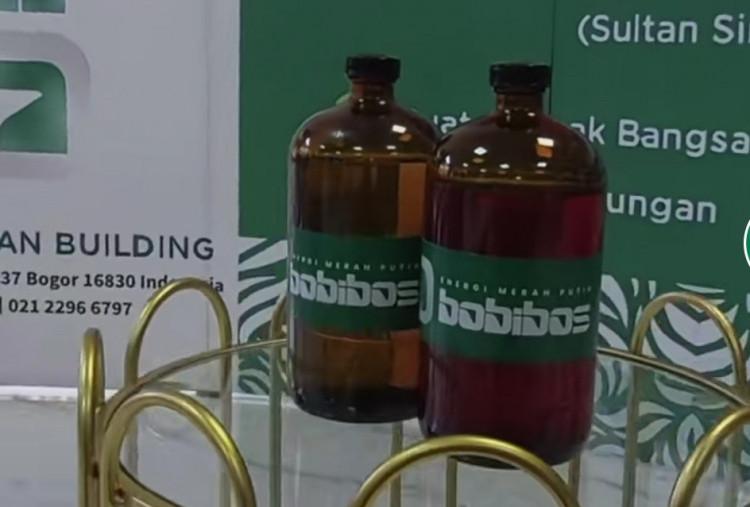 Cerita di Balik BOBIBOS: Bahan Bakar dari Tanaman yang Bikin Bangga Indonesia