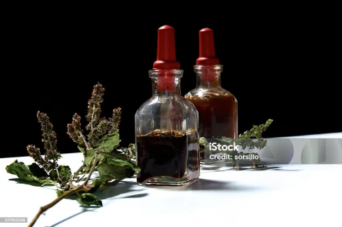 Hilirisasi Nilam, Peluang Emas Buat UMKM Indonesia Bersaing di Pasar Global